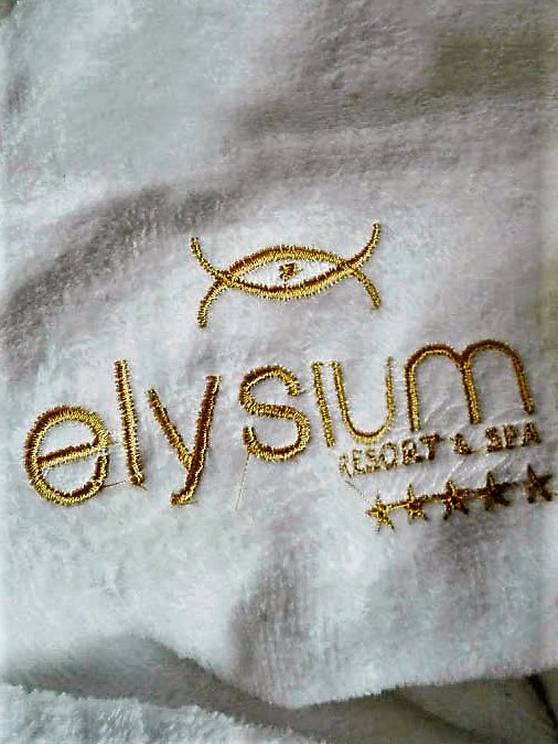 GL for Elysium2_revised2
